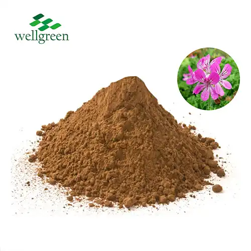 Geranium Extract Powder